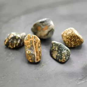 Ocean Jasper 5 Piece Small Nugget Specimens 20x40mm (90-115 grams) - DS ROCK SHOP